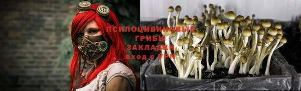 марихуана Абаза