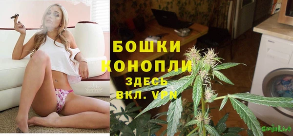гидра Алексеевка