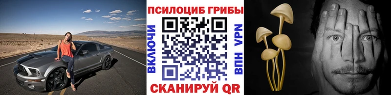 Псилоцибиновые грибы Cubensis  Кировград 